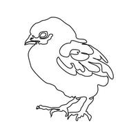 Single continuous line drawing of cute chicken. Fun chicken farming. One line design illustration vector