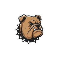 Logo design of a bulldog head with a collar with spikes on it vector