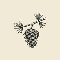Pine cone on a branch logo design vector