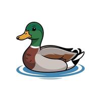 cute duck swimming on water illustration isolated on white background vector
