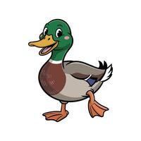 Cartoon Duck Walking and Smiling simple vector