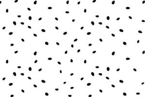 Watermelon seeds pattern isolated on a white background vector