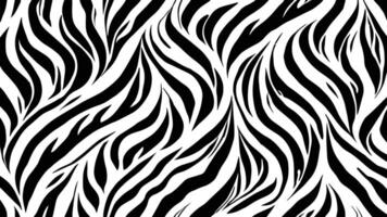 Black and white tiger stripes pattern or skin texture vector