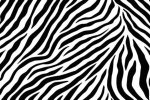 Jungle tiger print pattern texture for fashion design vector