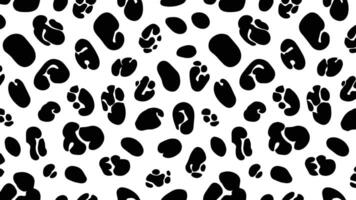 Black and white leopard or cheetah print vector