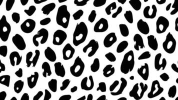 Abstract leopard or wild cat fur texture in black and white vector