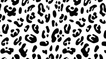 Elegant black and white leopard fur texture vector