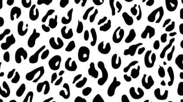 Black and white leopard or wild animal print fur texture pattern vector
