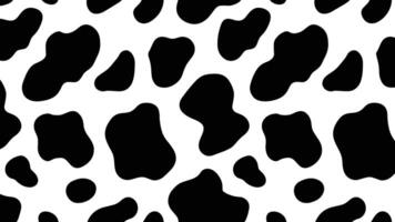 Cow print pattern with black and white design vector