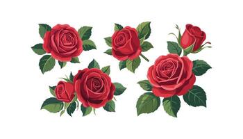 Set of decorative red rose with leaves. illustration isolated on white background vector