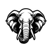 An elephant head with tusks on a white background vector