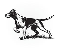 pointer dog illustration, a black and white drawing of a dog running graphics art vector