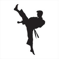 Karate silhouette white background vector