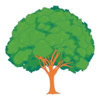 Flat or lowbrow style tree illustration. Ideal for eco themes, forest designs, nature branding, educational materials, outdoor elements, and environmental graphic projects vector