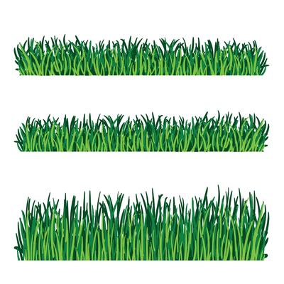 A nature-based set of grass and bush illustrations in flat or lowbrow style, isolated. Suitable for eco scenes, garden visuals, natural landscapes, and botanical projects