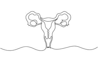 One continuous line drawing of woman uterus. Ovary and womb reproductive system in simple linear style. vector