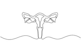 One continuous line drawing of woman uterus. Ovary and womb reproductive system in simple linear style, illustration isolated on white background. vector