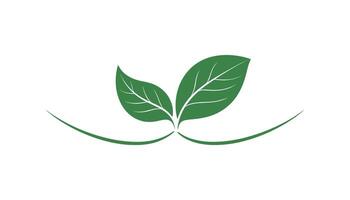 two green leaf with line illustration isolated on white background vector