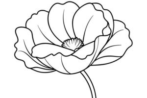 Elegant Line Drawing of a Single Poppy Flower in Full Bloom, Isolated on White Background, Evoking a Serene and Peaceful Mood vector