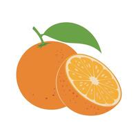 Fresh Orange Fruit with Leaf and Cross Section Flat Citrus Illustration vector