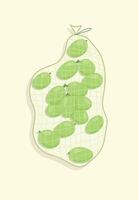 Fresh organic green grapes in grocery mesh bag design illustration editable for use vector