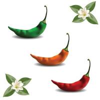Chili with three colors mesh tool art vector