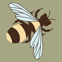 Hand drawn Honey bee on a sage background. Drawing of a bee insect, illustration vector