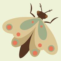 Hand drawn moth on a cream background. Drawing of a moth insect, illustration vector
