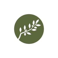 Branch logo element and symbol vector