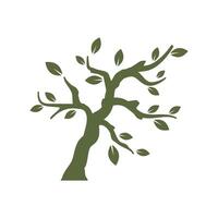 Stylized branch tree logo and symbol vector