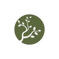 Stylized branch logo and element vector