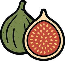 A pair of figs, one whole and one sliced open, showcasing its red interior and seeds. A simple, hand-drawn style illustration. vector