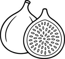 A Line Drawing of a Fig, Whole and Halved, Showing Seeds vector