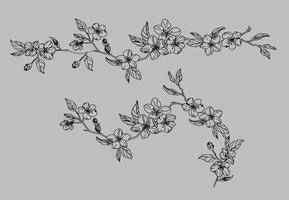 a drawing of a branch with flowers outline vector