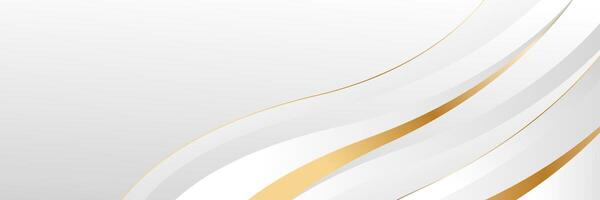 modern abstract background with soft white lines and gold streaks vector