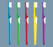 Modern toothbrush in different colors vector