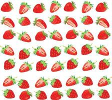 Strawberry pattern Strawberry vector