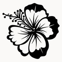 black and white hibiscus flower illustration vector
