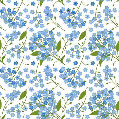 Myosotis Flowers seamless pattern. Illustration in hand-drawn style