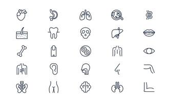 Human organ icon representing internal anatomy and biological system components in outline style vector