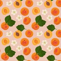 Retro style Slices Apricots seamless pattern. Illustration in hand-drawn style. vector