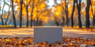 A stone block sits amidst fallen leaves in an autumn park with trees in the background on a sunny day photo