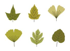 Set of various spring leaves in green colors. Summer background, foliage of maple, ginkgo, aspen, and hawthorn, isolated on white. Leaf icons, illustration vector