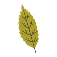 Tree leaf in light green color. One element isolated on white. Spring backgrounds, illustration vector