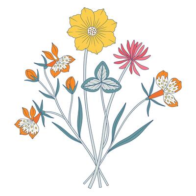 Bright bouquet of wildflowers. Bunch of meadow flowers with cosmea and clover, wild plants, herbs. Botanical hand drawn elements for design projects illustration