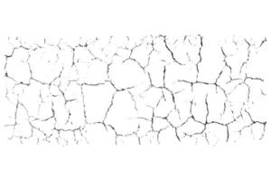 Natural overlay abstract texture. Crack ground for abstract on white background. Organic grunge one color surface. vector
