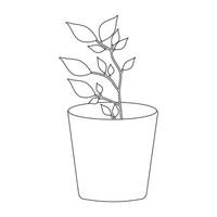 Modern Line Drawing of Plant in Pot with Abstract Elements vector