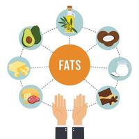 Sources of Healthy Dietary Fats Illustration vector
