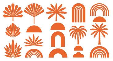 Boho Tropical Elements Set Vintage Palm Trees and Rainbows Digital Art Collection vector
