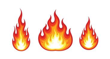 Exploring the Nature of Fire The Science Behind Combustion and Heat Transfer Phenomena vector